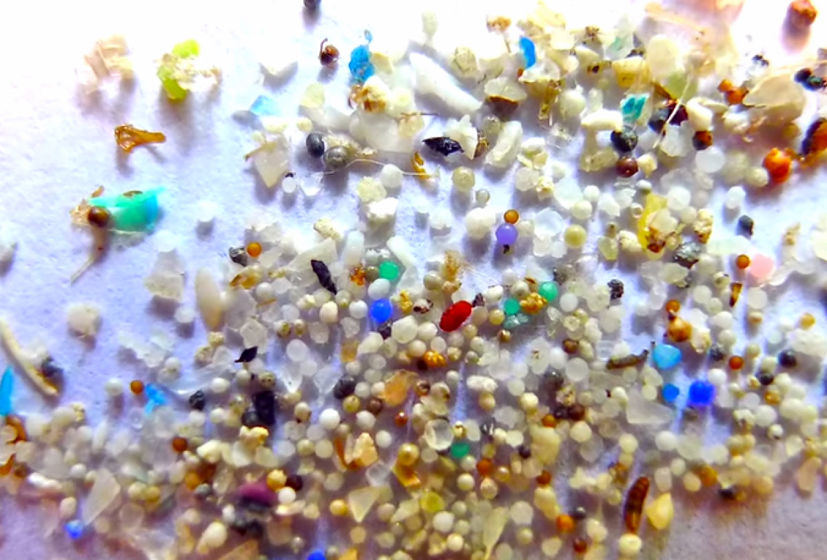  A detail shot of plastic microbeads. Credit: 5Gyres