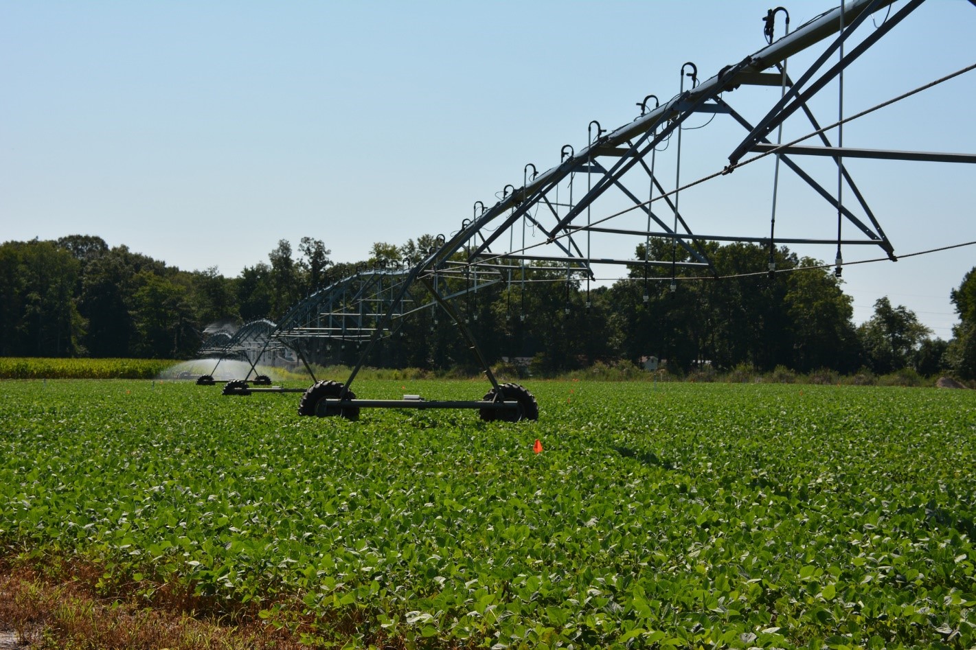 Exemple d’irrigation d’un champ agricole. Photo : Delaware Cooperative Extension