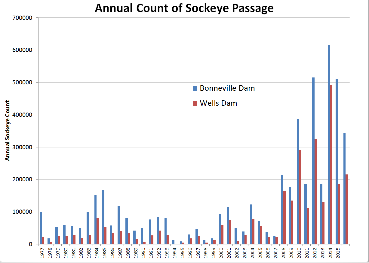 Graphique illustrant les dénombrements annuels de saumons rouges aux barrages Bonneville et Wells. Source : Columbia Basin Research