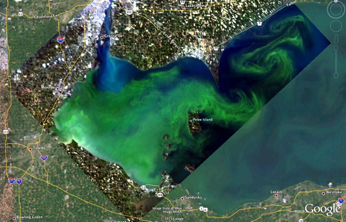 photo lake erie algae satellite
