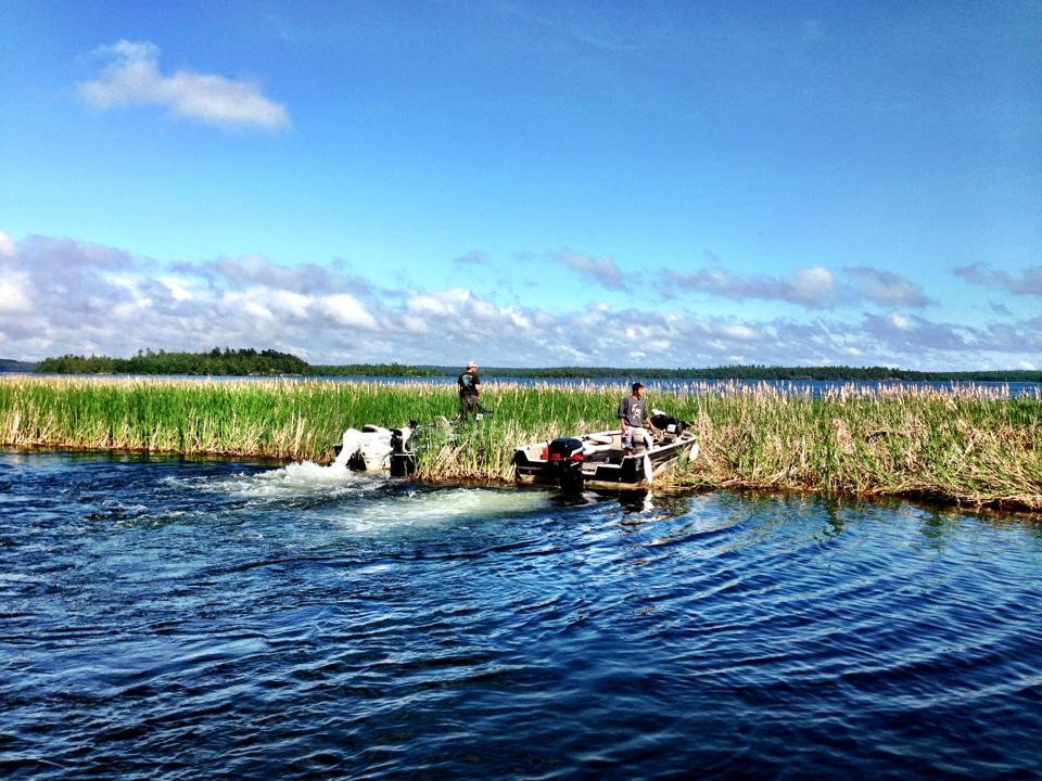 A pair of boaters head into a range of cattails on Rainy Lake. Credit: Eric Olson