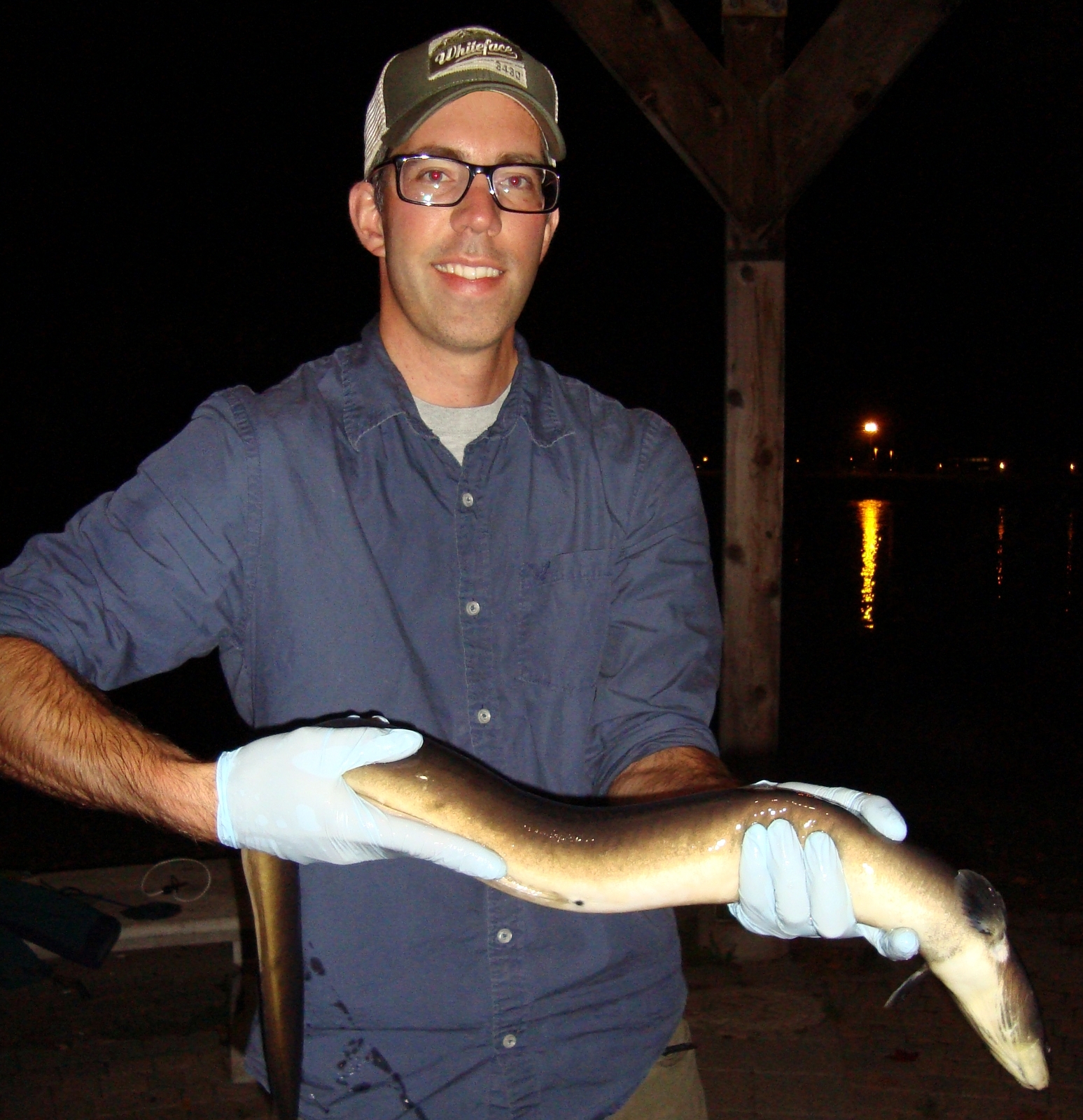 Windle with an American eel. Credit: Matt Windle. 