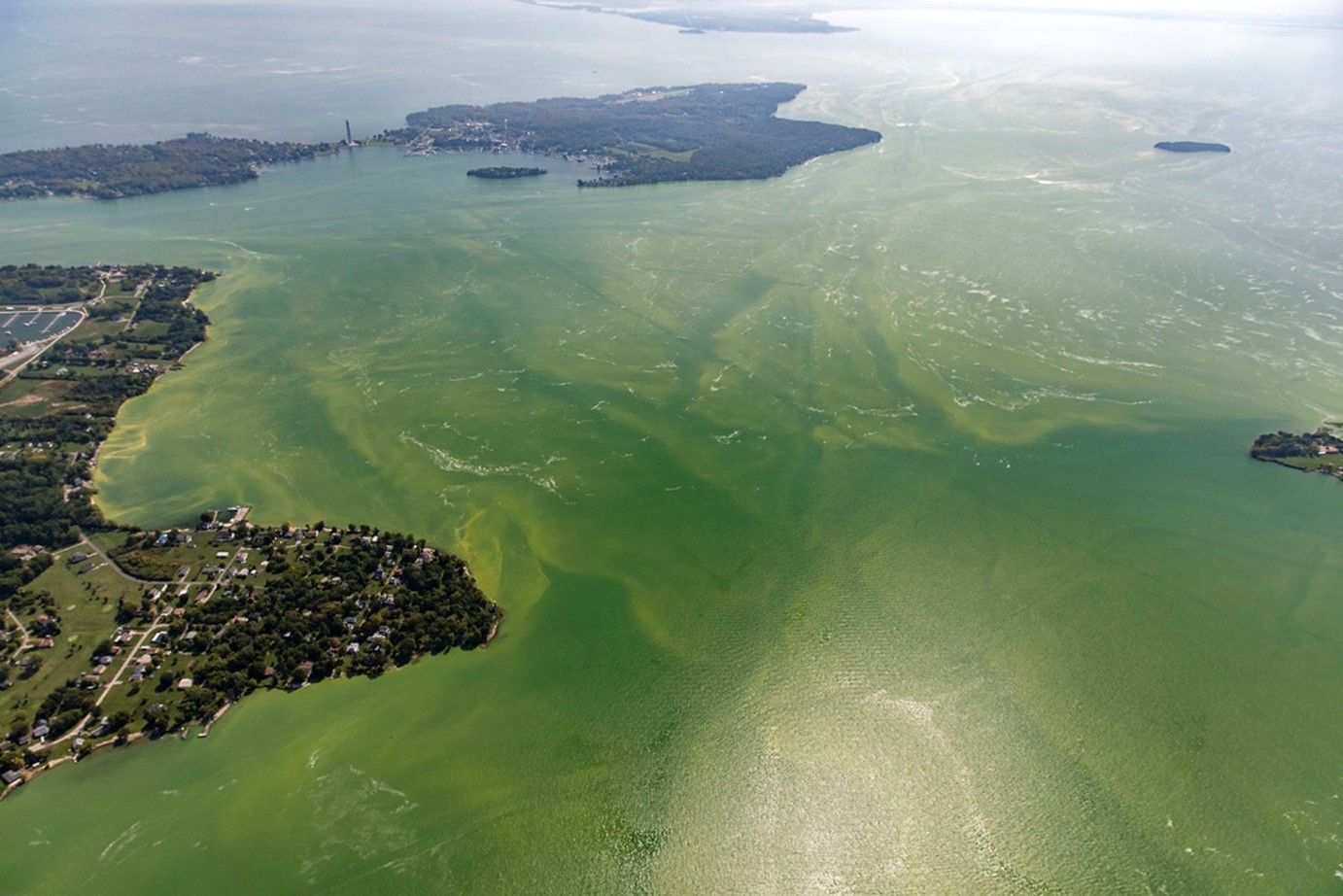harmful algal bloom lake erie 2017
