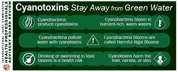 cyanotoxins infographic hpab