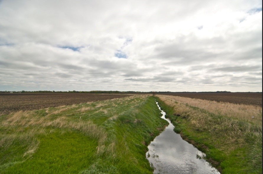 The use of grassed buffer strips along streams, rivers, ditches and lakes help prevent sediment and nutrients from entering waterways. Credit: MPCA  