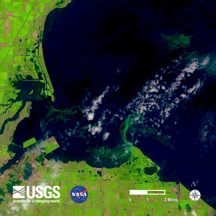 Efflorescence algale sur le lac Érié au large de Toledo (Ohio) montrée par une image satellite prise le 1er août 2014. Photo : USGS