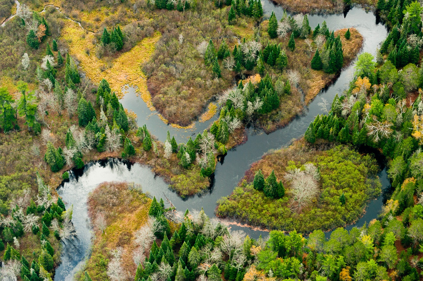 The Two Hearted River, which winds through Michigan. Credit: TNC Archives.