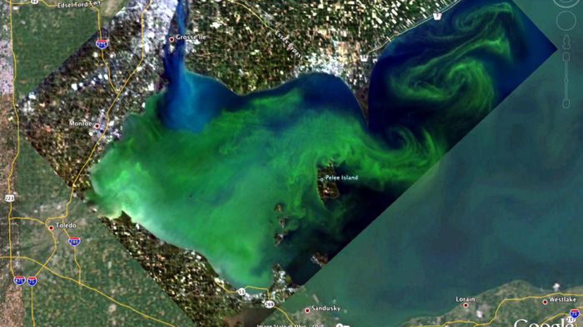 2011 harmful algal bloom in Lake Erie