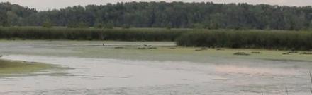 wetlands lake champlain flood water storage report
